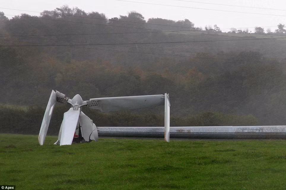 Bão làm đổ một turbine gió khổng lồ tại một cánh đồng gần Teignmouth, Devon.