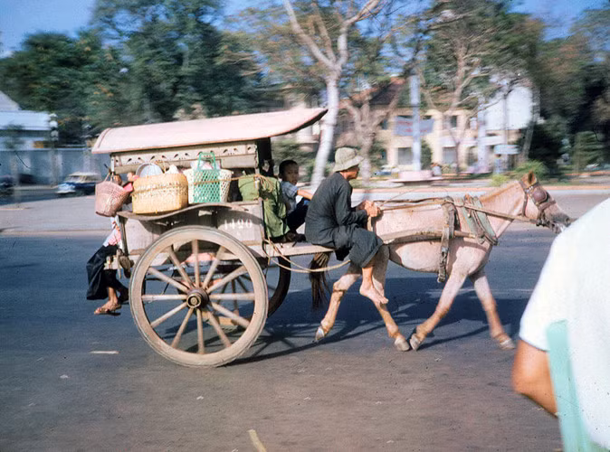 Xe thổ mộ trên Công trường Mê Linh, Sài Gòn năm 1965. Cho đến thập niên 1960, xe thổ mộ vẫn được sử dụng ở Sài Gòn, nhưng không còn thịnh hành như trước do sự phố biển của taxi, xe lam, xích lô máy... Ảnh: Bruce Baumler.