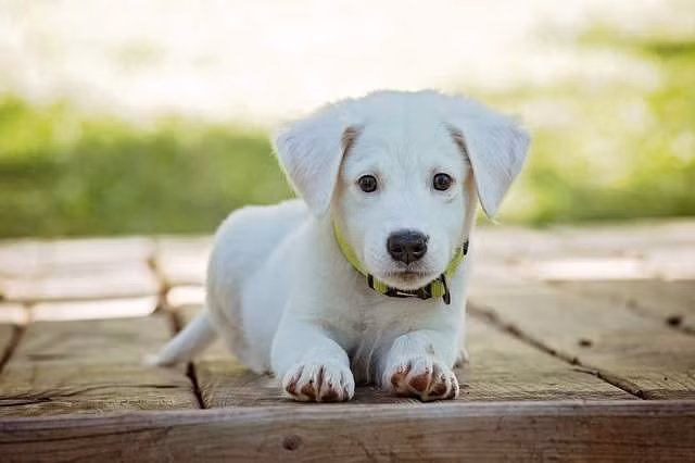 Dường như giữa bạn và người ấy đang xảy ra mâu thuẫn. Điều này ít nhiều khiến cho tâm trạng của bản mệnh bị ảnh hưởng. Cũng vì điều này mà kéo theo nhiều khía cạnh khác cũng bị ảnh hưởng. * Thông tin mang tính chất tham khảo. 