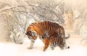  Tuổi Dần. Sáng tạo, quyết đoán, biết cách đối nhân xử thế là những yếu tố tốt đẹp hội tụ ở những người cầm tinh con Hổ. Những yếu tố này đều là yêu cầu cơ bản để bạn có thể trở thành sếp thành công trong tương lai.