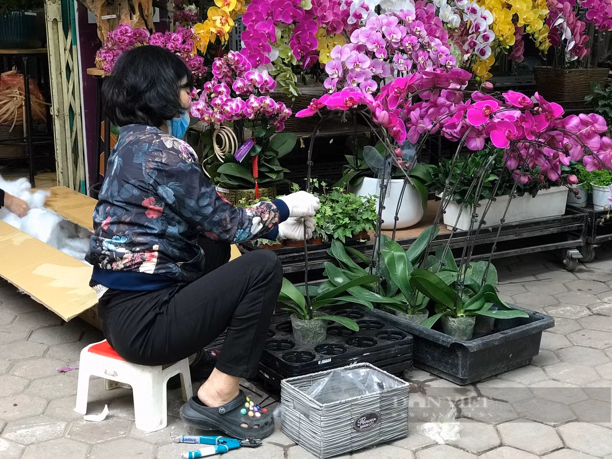  Một tiểu thương tại đường hoa Hoàng Hoa Thám cho biết, đào năm nay có giá từ 400.000 - 1 triệu đồng/chậu tùy vào kích thước, cúc mâm xôi khoảng 200.000 - 300.000 đồng/chậu, cẩm tú cầu là 200.000 - 300.000 đồng/cây. Ảnh: Phương Linh - Nguyễn Tùng. 