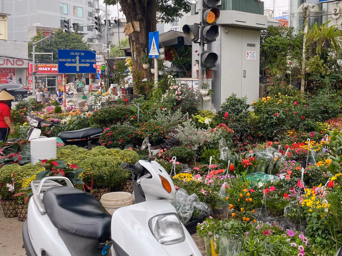  Đường Hoàng Hoa Thám (hay còn gọi Phố cây cảnh) nhộn nhịp dịp "người mua kẻ bán". Đây được xem là một trong ba chợ hoa lớn nhất Hà thành, bên cạnh chợ hoa Quảng An và chợ hoa Hàng Lược. Ảnh: Phương Linh - Nguyễn Tùng. 
