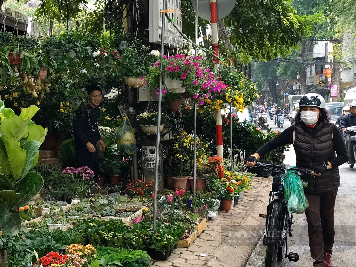  Bày bán hàng nghìn loại hoa nên đường Hoàng Hoa Thám như khoác lên một lớp áo rực rỡ sắc màu, khoe vẻ đẹp riêng những ngày xuân về. Ảnh: Phương Linh - Nguyễn Tùng. 