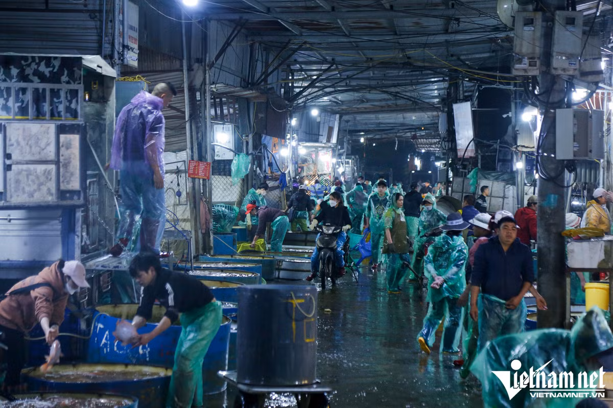 Ga cung ngam hoa hong hon 500.000 dong/con van hut khach-Hinh-3