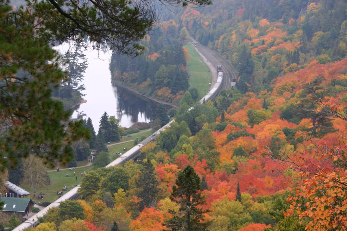 Đoàn tàu hỏa Algoma chạy qua khu rừng với lá vàng và đỏ đặc trưng của mùa thu ở Sault Ste Marie, Ontario.