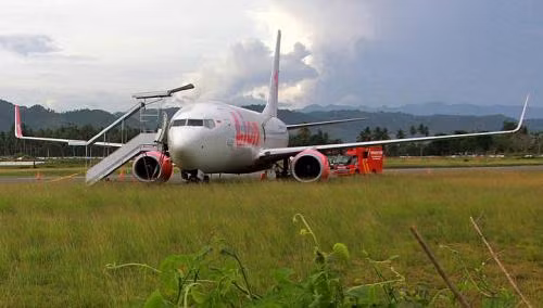 Chiếc máy bay Boeing lao xuống cánh đồng sau khi đâm vào một con bò.