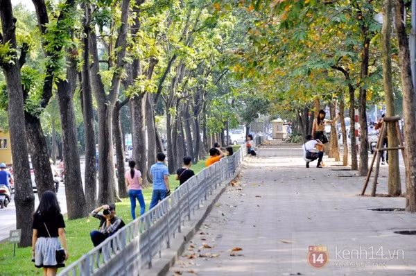 Đây là một trong những đoạn đường đẹp nhất trên phố Kim Mã, giới trẻ thường xuyên ra đây ghi hình, chụp ảnh cưới. Rất may hàng cây xanh trên đường này gần như vẫn được giữ nguyên, chỉ chặt hạ những cây sâu mục.