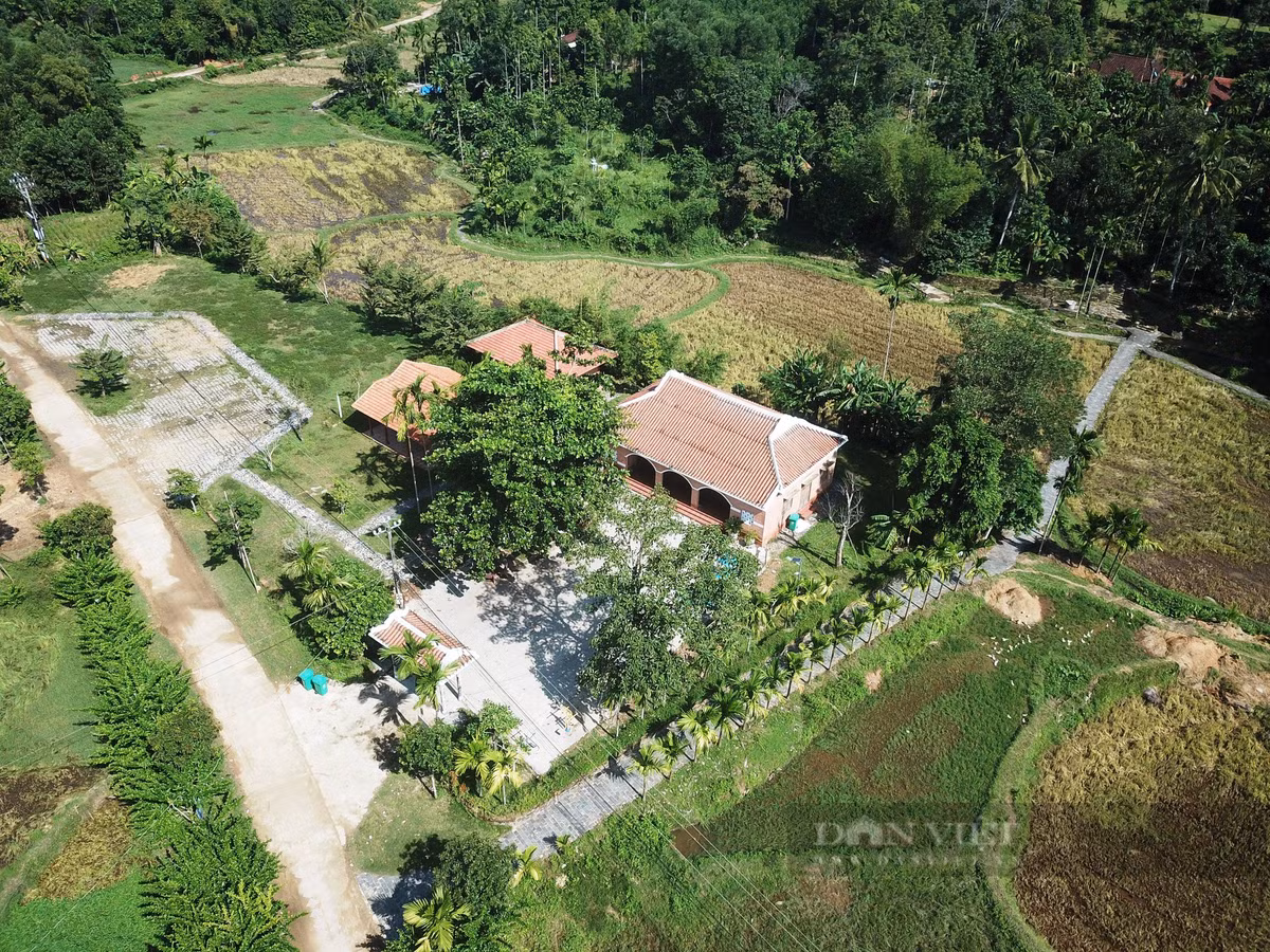 Một làng cổ nổi tiếng Quảng Nam trái cây đủ màu xanh, đỏ, tím, vàng - Hình 2 Mot lang co noi tieng Quang Nam trai cay du mau xanh, do, tim, vang-Hinh-2