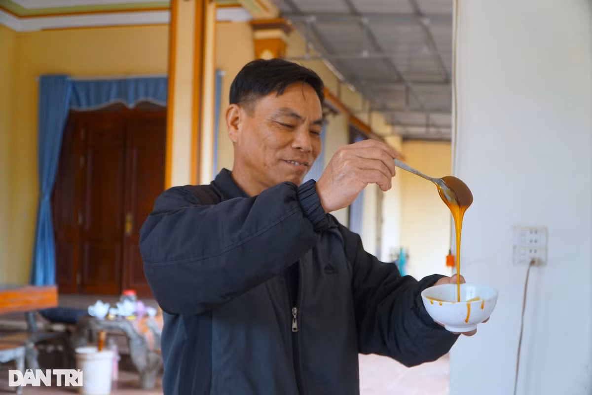 Đã có kinh nghiệm nhiều năm trong nghề nấu mật mía, ông Nguyễn Văn Vinh thường cẩn thận kiểm tra mật sau mỗi lần nấu. "Muốn có mật ngon phụ thuộc vào nguồn nguyên liệu là chủ yếu. Mía ở huyện Thạch Thành được đánh giá là chất lượng tốt hơn các vùng nguyên liệu khác", ông Vinh cho hay.
