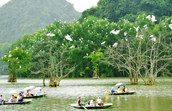  4. Vườn chim Thung Nham Vườn chim Thung Nham nằm ở xã Ninh Hải, huyện Hoa Lư, là một trong những điểm du lịch hội tụ đầy đủ các yếu tố văn hóa, tâm linh, cảnh quan và đa dạng sinh học.