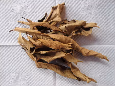 La vối khô