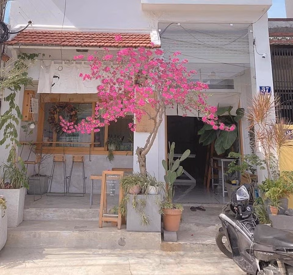 Ngoi nha toi tam 