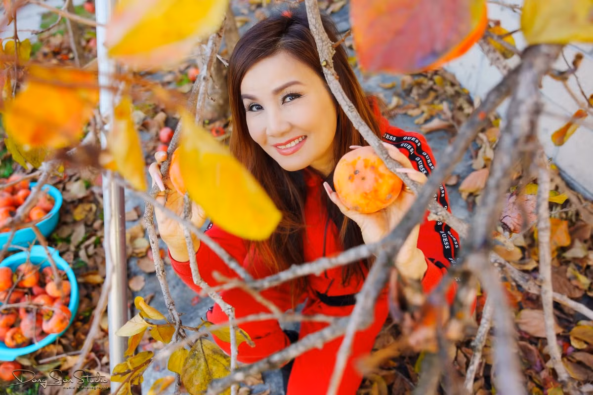 Hạ Vy ra vườn thu hoạch hồng.