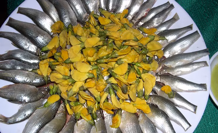 Tại An Giang, giá cá linh non làm sạch có giá 230.000- 250.000 đ/kg, còn tại Cần Thơ, Vĩnh Long ở mức 250.000- 300.000 đ/kg.