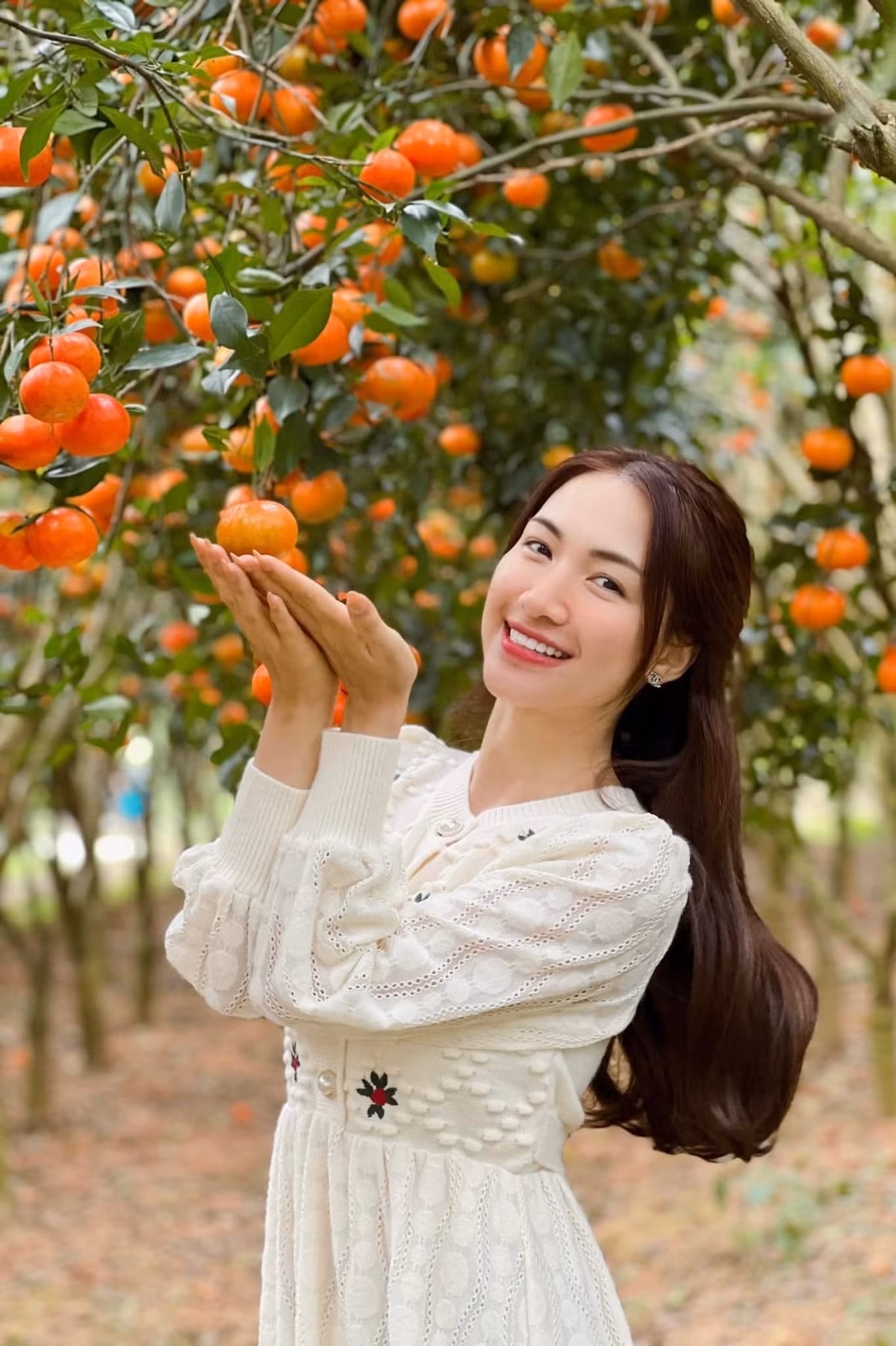 Hòa Minzy đẹp trong veo ở một vườn cam tỉnh Bắc Giang.