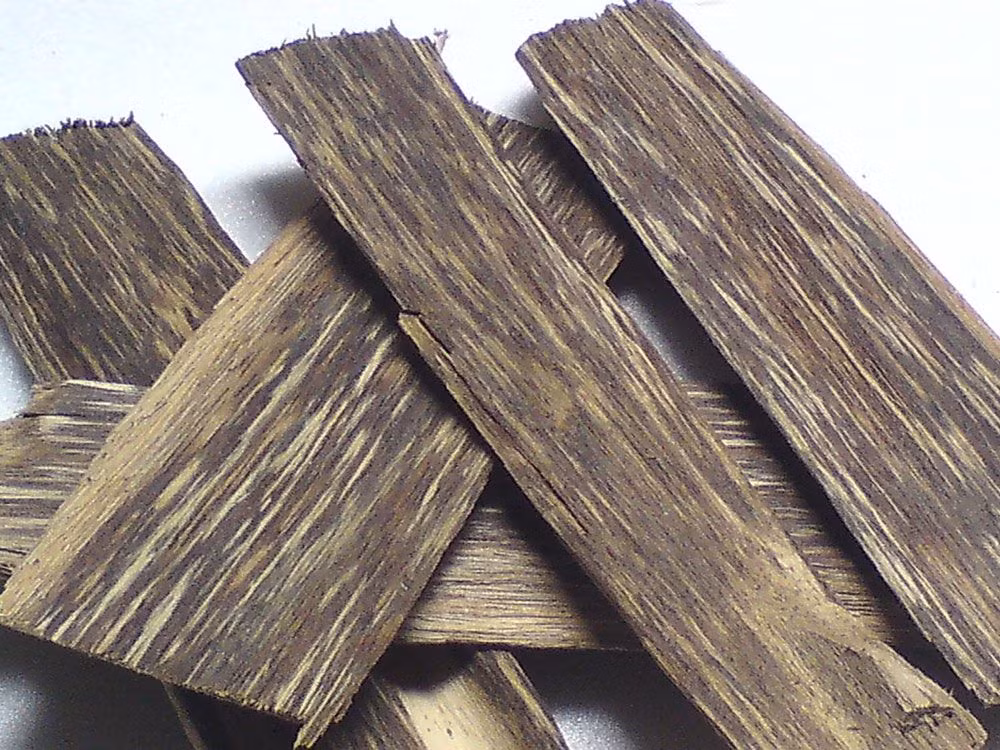 Đặc biệt, lượng trầm nhập khẩu từ Việt Nam chiếm khoảng 70% tổng số lượng trầm Nhật Bản nhập khẩu vào thời Shuinsen (đầu thế kỷ 17), khi hàng trăm thuyền buôn được cấp phép xuất ngoại sang các thương cảng phương Nam.