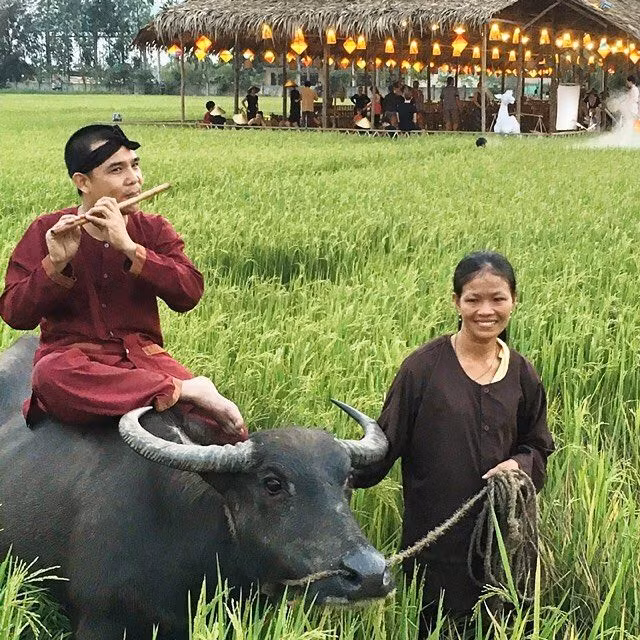 “Đàn gảy tai trâu”. Câu này để chê những người không biết thưởng thức nghệ thuật, như con trâu nghe tiếng nhạc mà mặt thộn ra vì chẳng hiểu đó là âm thanh gì.