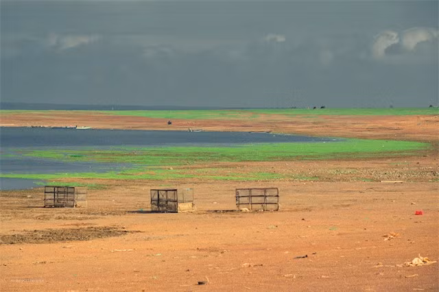 "Nhà mình cách hồ Trị An khoảng 10km, khi còn độc thân, thi thoảng mình và các bạn học rủ nhau ra hồ cắm trại qua đêm, rồi mình kết hôn, bận rộn lo cho gia đình, không ghé nữa. Không ngờ, cuối tuần rồi, tranh thủ đưa cả nhà về thăm ông bà ngoại, mọi người lại đến hồ picnic nên mới biết mùa này, hồ đẹp như thế" - chị Vũ Thị Hồng Hạnh, nhà ở thị trấn Vĩnh An, Đồng Nai chia sẻ.