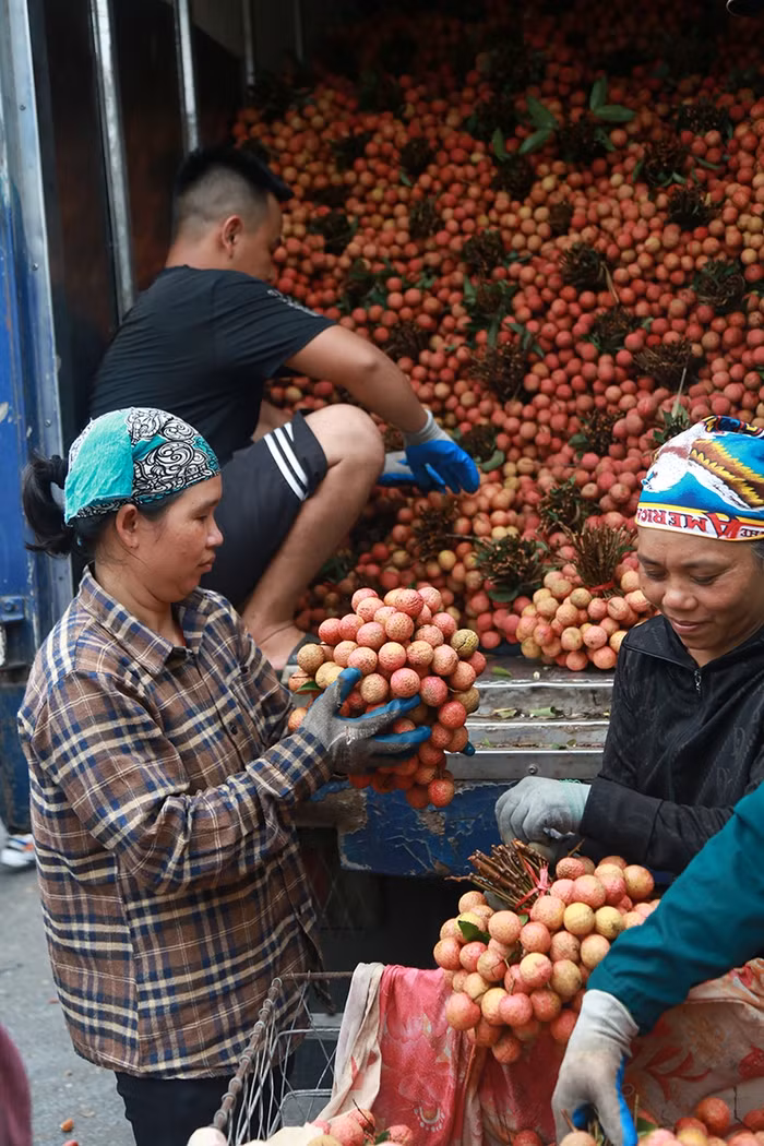 Người dân cho biết giá cả vẫn chủ yếu phụ thuộc vào thị trường Trung Quốc là chính, thị trường trong nước tiêu thụ không nhiều so với sản lượng.