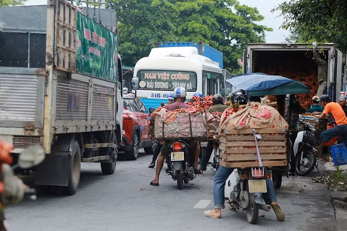 Tháng 6 là thời điểm thu hoạch vải tại Thanh Hà (Hải Dương). Theo ghi nhận tại Thanh Hà, giá vải mua buôn là 15 nghìn đồng/kg hoặc có thể rẻ hơn.