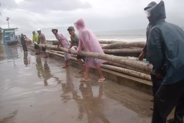 Người dân phường Thanh Khê Tây (quận Thanh Khê - Đà Nẵng) khiêng cọc đóng mắc rớ vào bờ tránh bão (ảnh chụp sáng 18/9.