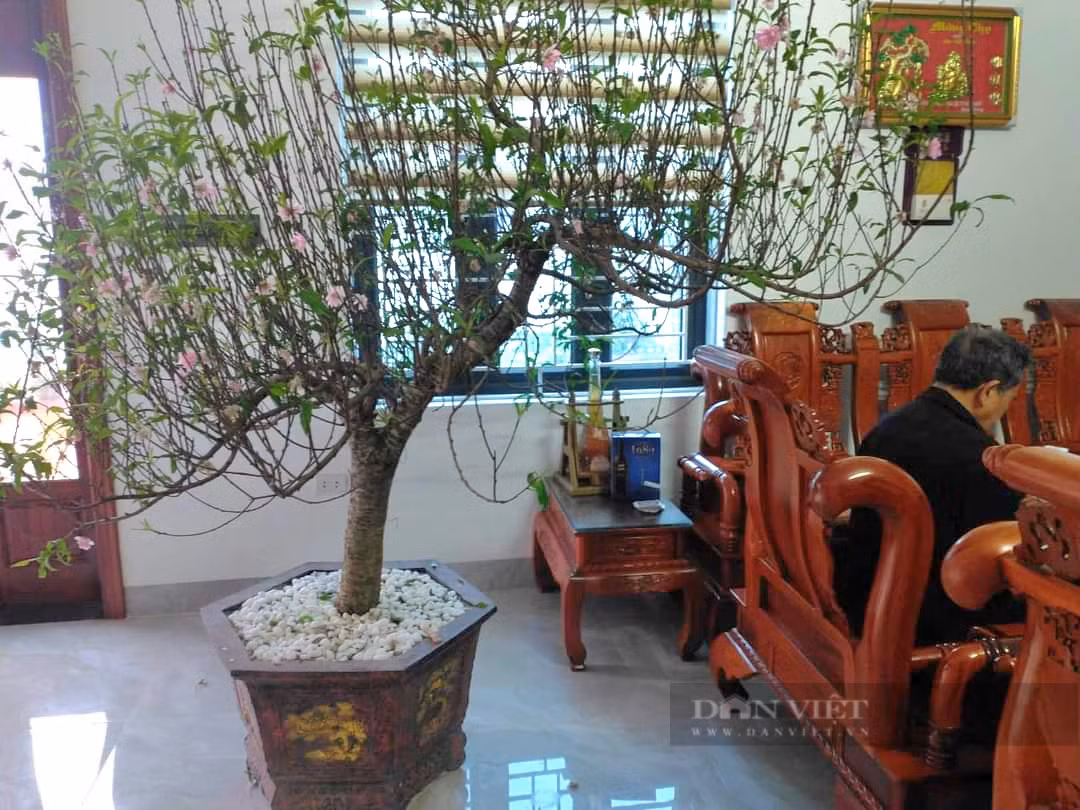 9X tiet lo bi quyet cham dao phai ra hoa dep me man-Hinh-2