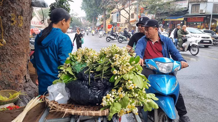 Hoa buoi duoc gia, nhieu chu vuon bo tui tien trieu moi ngay-Hinh-2