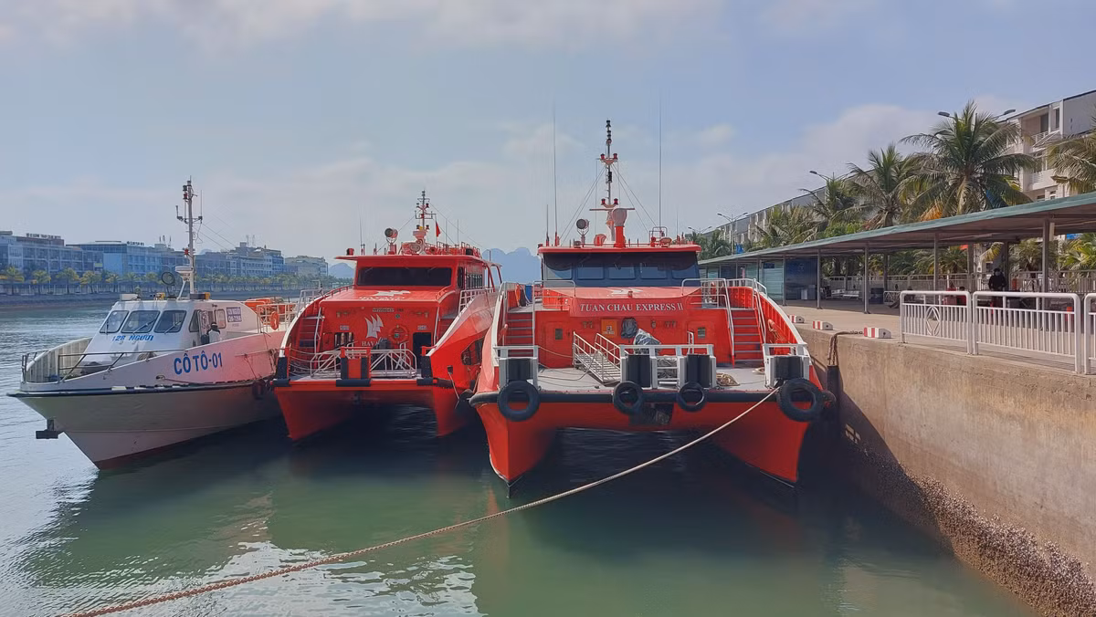 Thông tin từ Công ty cổ phần đầu tư Havaco: gồm 1 tàu Tuần Châu Express 5 sao và 1 tàu công vụ sẽ chở hơn 300 người về đảo Cô Tô ăn Tết.