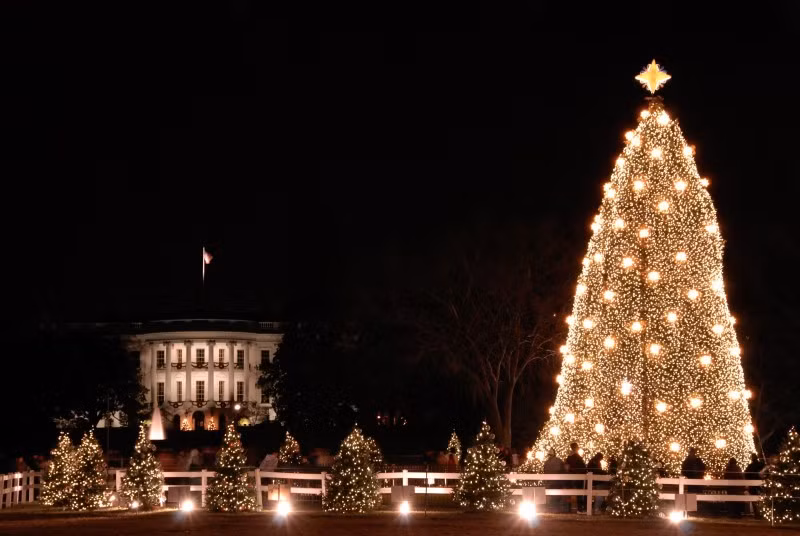 Cây thông Noel này được đặt gần Nhà Trắng và được thắp sáng bởi tổng thống Mỹ. Đây là truyền thống thường niên của người dân Washington kể từ năm 1964.