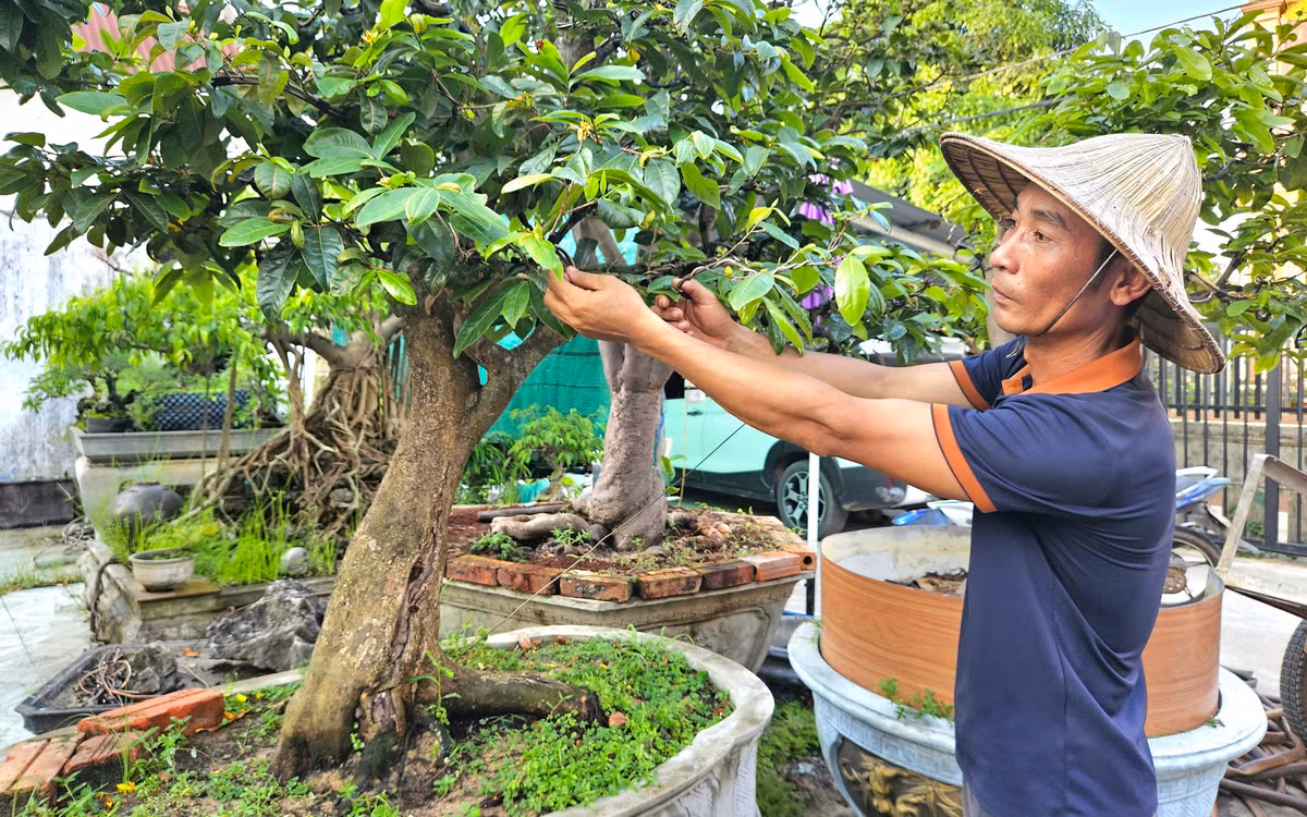 Nuoi thanh cong tac ke, anh nong dan Thai Nguyen lai 300 trieu-Hinh-2