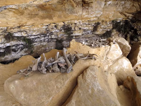 Những chiếc quách purunmachu hiếm hoi còn sót lại này đã được người Chachapoya đặt cẩn thận tại một vị trí gần như không thể tiếp cận được giữa lưng chừng vách núi.