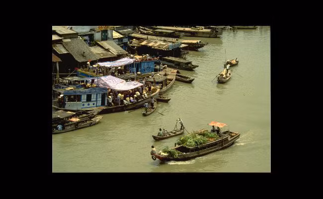Cuộc sống bên bờ sông Cửu Long.