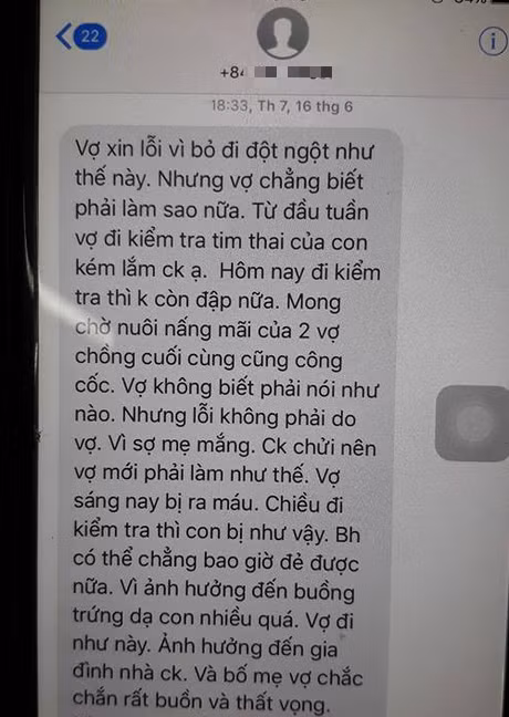 Tin nhắn chị M. nhắn cho anh L