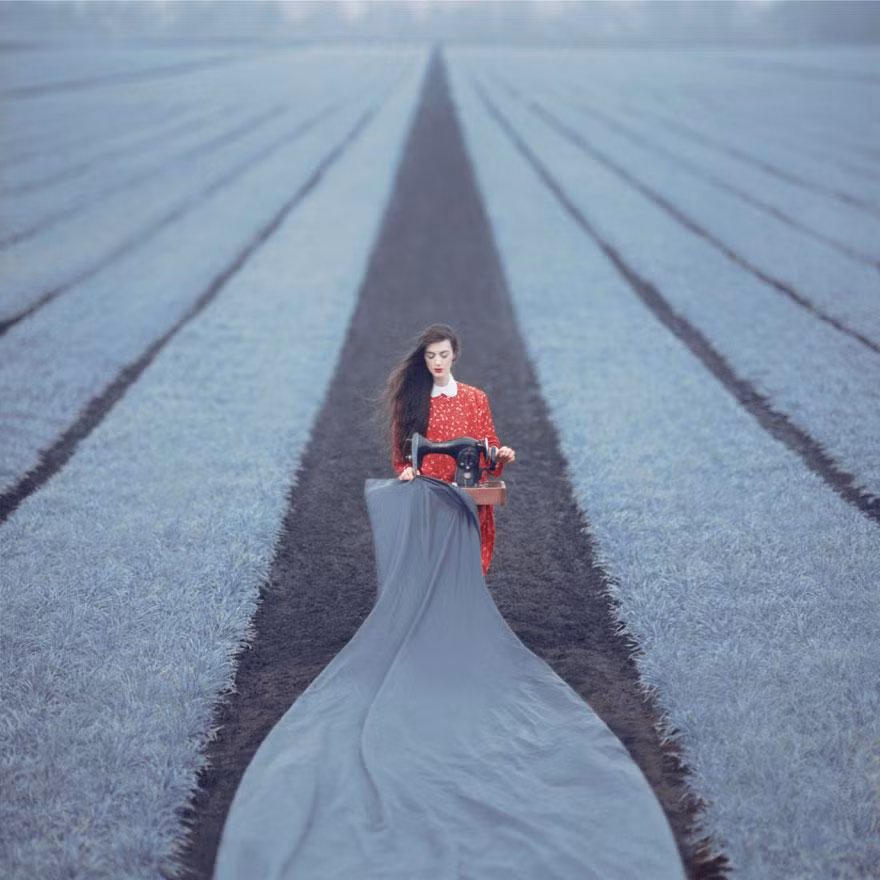 Một tác phẩm có bố cục rất ấn tượng của Oleg Oprisco.