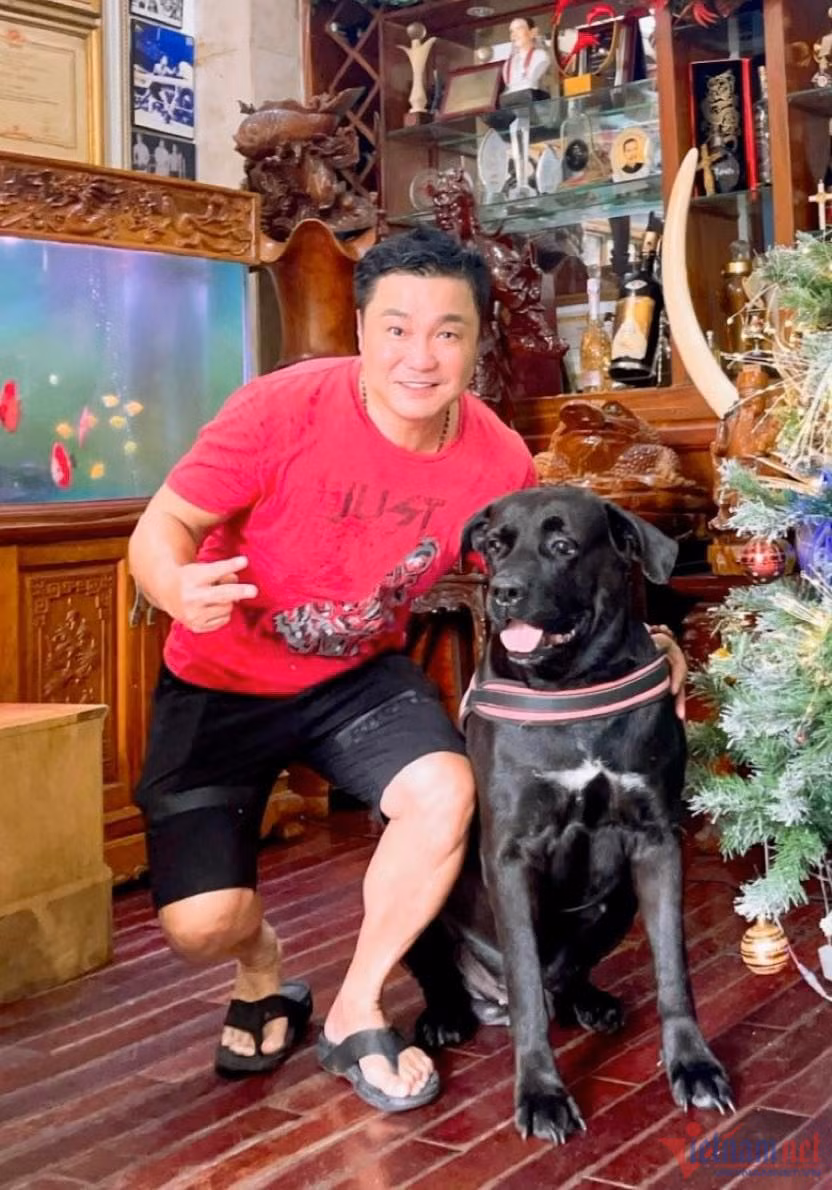 Lý Hùng tuổi 53 sống lành mạnh, chơi với thú cưng cho đỡ cô đơn - Hình 3 Ly Hung tuoi 53 song lanh manh, choi voi thu cung cho do co don-Hinh-3