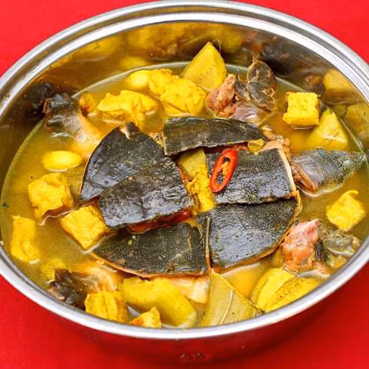 Cua đinh có trọng lượng lên tới 5-15kg, nhiều cá thể được tìm thấy trong tự nhiên có thể lên đến 30kg - to hơn ba ba rất nhiều.