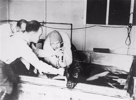 Cụ thể, tại trại tập trung Auschwitz, tiến sĩ Eduard Wirths, là người đứng đầu, phụ trách những thí nghiệm rùng rợn trên cơ thể con người. Eduard đã chọn các tù nhân nhằm những mục đích nghiên cứu khác nhau.