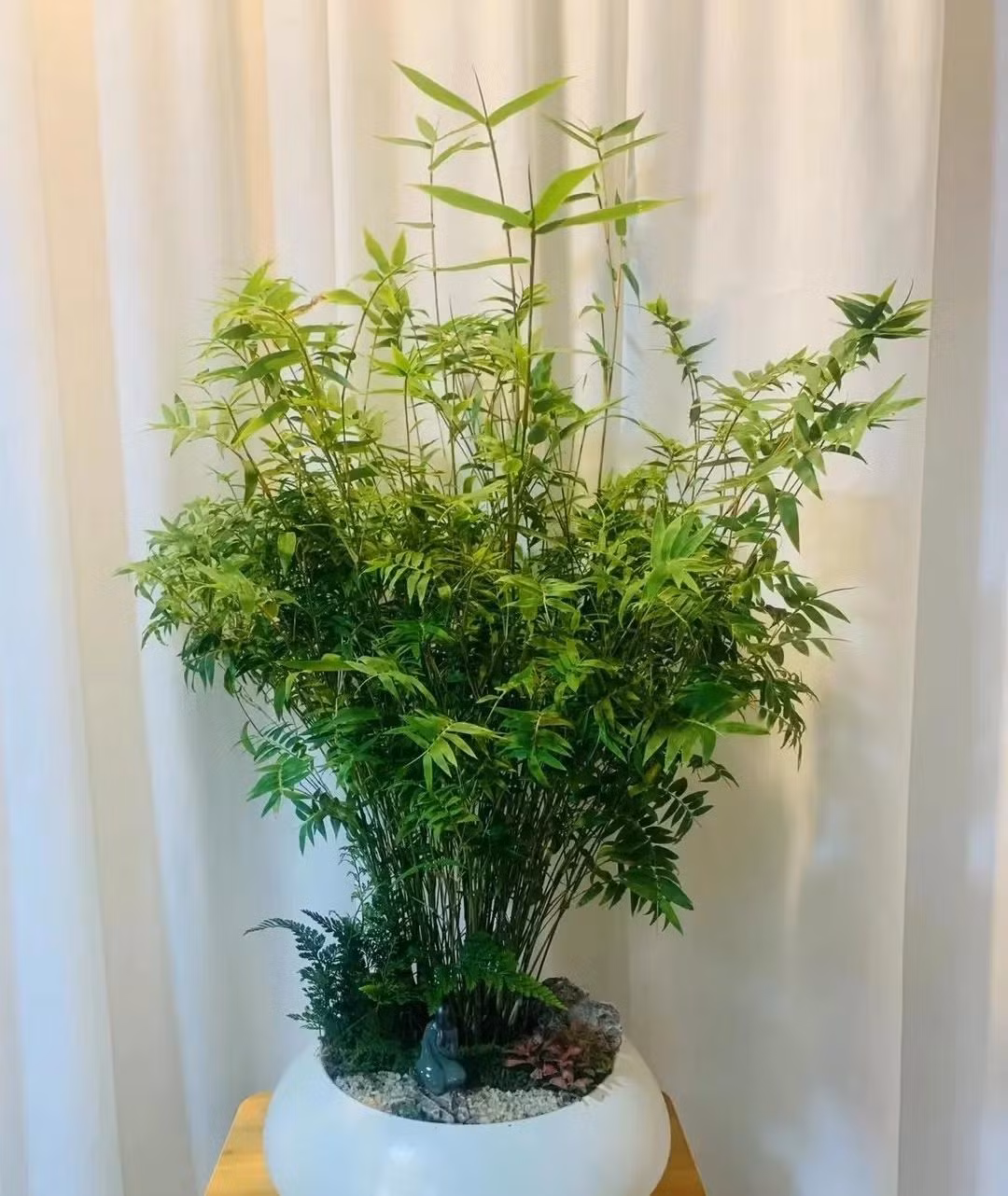  2. Cây cảnh: Tre lúa. Những cành tre lúa mảnh mai, thẳng tắp, mang lại vẻ duyên dáng khó cưỡng. Cùng với hương tre tươi mát và tinh tế, cả căn phòng toát lên một bầu không khí sang trọng, khiến người ta chỉ cần nhìn vào là cảm thấy sảng khoái và tràn đầy năng lượng. 