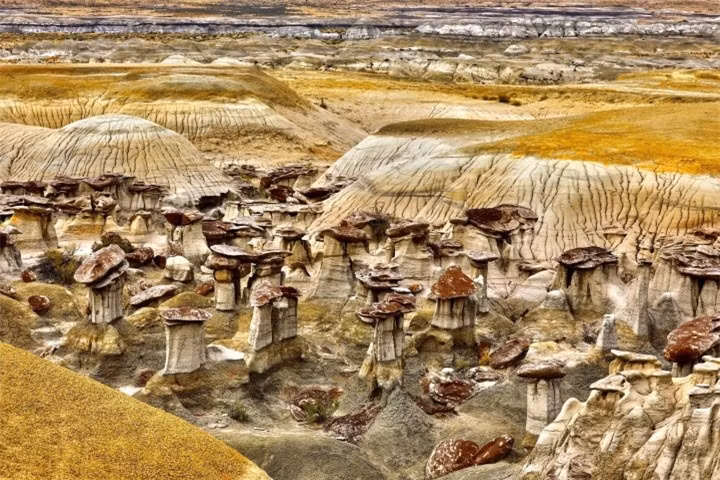 Vung dat cua nhung ‘cay nam da’ khong lo sieu thuc nhu o hanh tinh khac