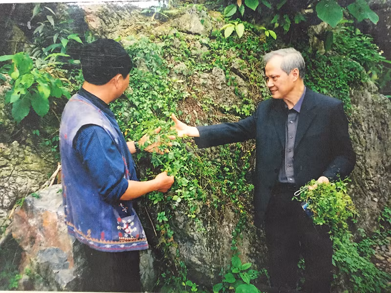 GS-TS Pham Thanh Ky: Nguoi tim ra cay giao co lam o Viet Nam-Hinh-2