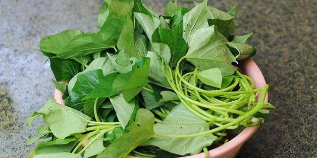 Loại rau chứa vitamin gấp 8 lần táo, làm món nguội cực ngon - Hình 2 Loai rau chua vitamin gap 8 lan tao, lam mon nguoi cuc ngon-Hinh-2