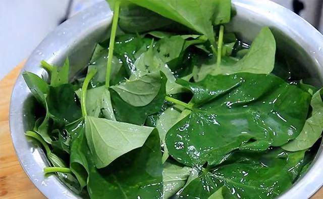 Loại rau chứa vitamin gấp 8 lần táo, làm món nguội cực ngon - Hình 4 Loai rau chua vitamin gap 8 lan tao, lam mon nguoi cuc ngon-Hinh-4