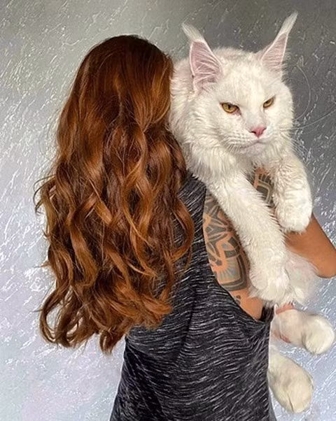  Cô Yulia Minina chia sẻ về thú cưng: “Tôi không thể nghĩ rằng một con mèo con lại có thể to đến vậy. Nó không những to lớn mà còn rất thông minh và hành xử điềm tĩnh”.