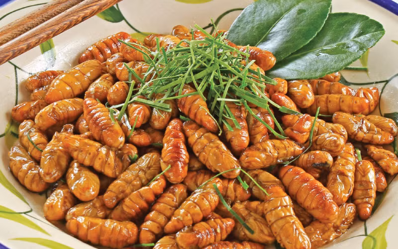Nhộng: Vị ngọt mặn, tính bình có công dụng ích tì bổ hư, trừ phiền giải khát.