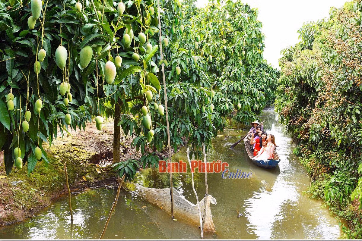 Nong nghiep Dong Thap thu hut khach vui xuan-Hinh-8