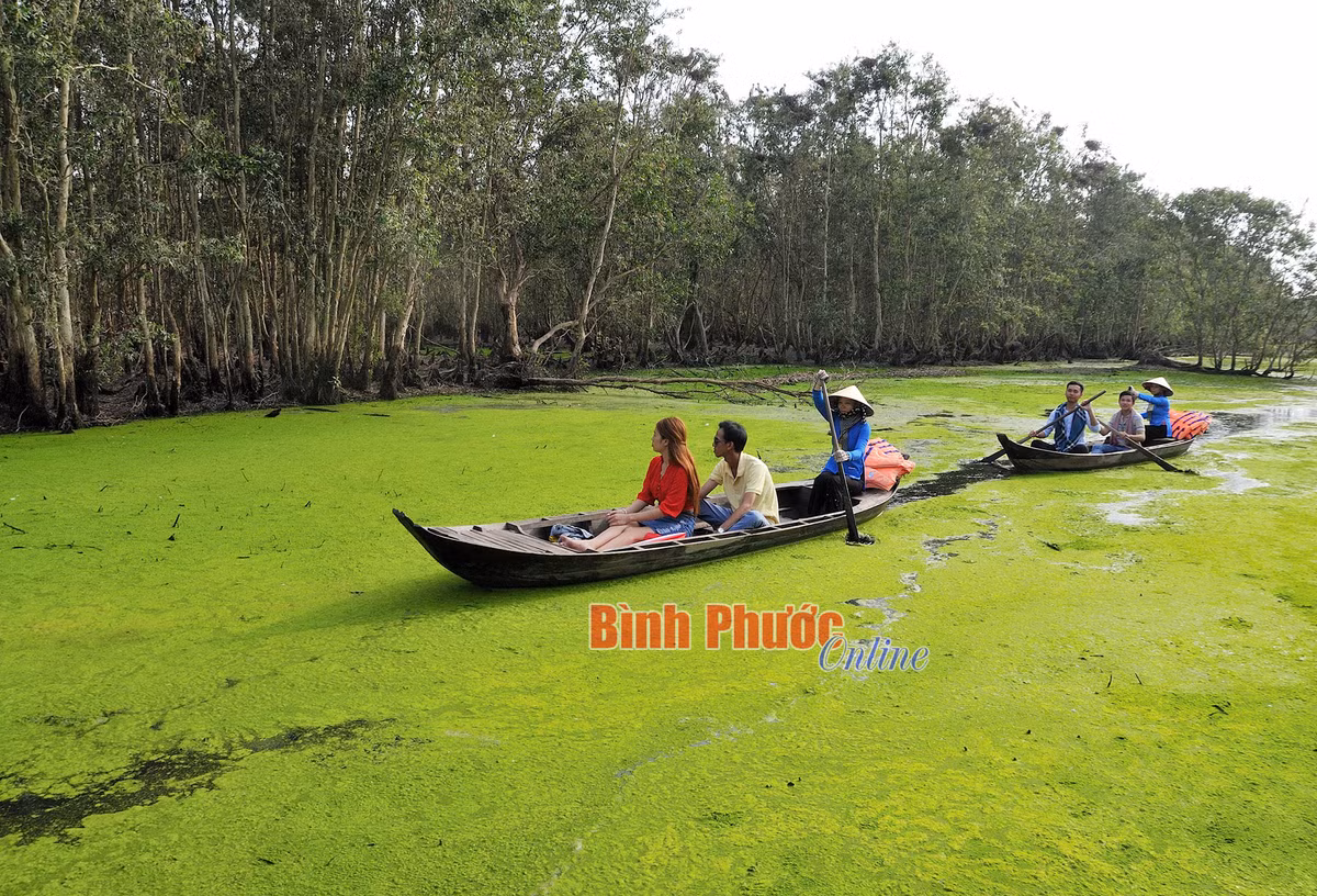 Nong nghiep Dong Thap thu hut khach vui xuan-Hinh-14