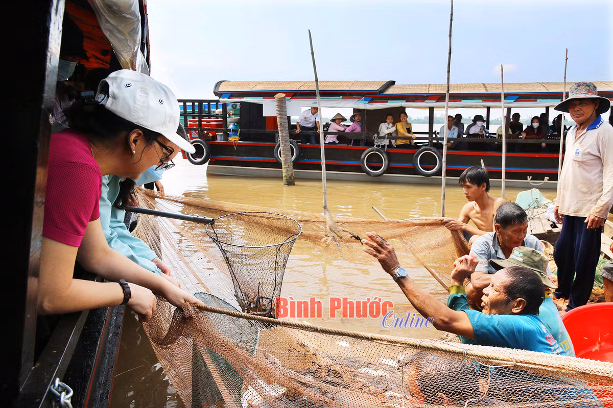 Nong nghiep Dong Thap thu hut khach vui xuan-Hinh-10