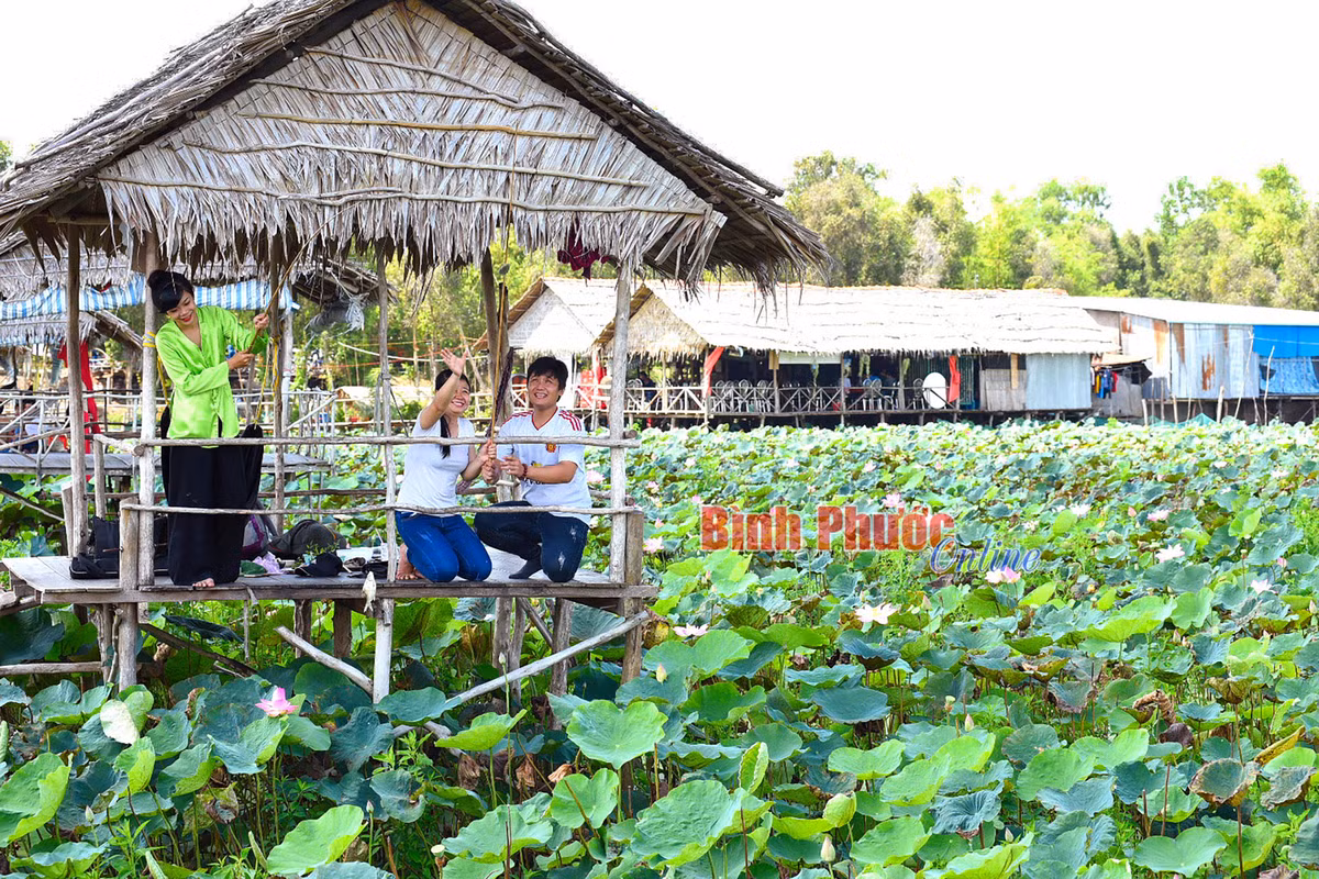 Nong nghiep Dong Thap thu hut khach vui xuan-Hinh-5