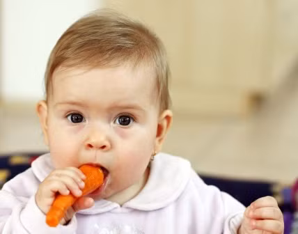 Ăn nhiều cà rốt giúp sáng mắt. Cà rốt chứa nhiều vitamin A, đồng thời cũng giàu beta-caroten nên nếu sử dụng nhiều, nó là yếu tố làm tăng chứng vàng da ở bé. Ăn nhiều cà rốt hay các loại thực phẩm giàu vitamin A khác không có chức năng cải thiện thị giác cho bé như cha mẹ mong đợi. Ngoài ra, việc tiêu thụ quá liều vitamin A còn có thể gây hại cho bé, lời khuyên tốt nhất là cha mẹ nên cho bé ăn uống cân bằng.