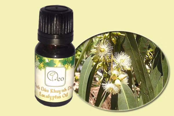 Tinh dầu cây khuynh diệp. Có tác động tương tự tinh dầu của cây trà, tinh dầu cây khuynh diệp giúp cơ thể chống lại mụn trứng cá và giảm đau đầu. Tinh dầu cây khuynh diệp còn chống vi khuẩn, làm giảm mẩn đỏ, ngứa ngáy, sưng viêm liên quan đến mụn ở người lớn.